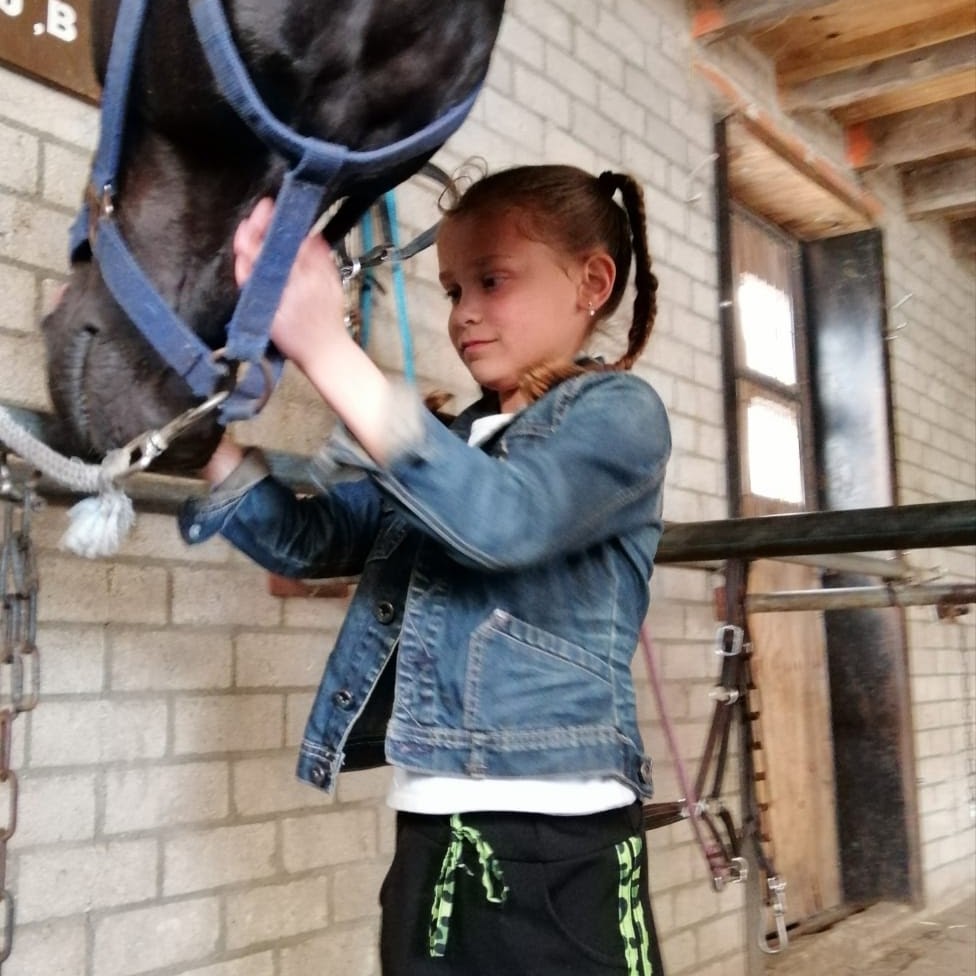 Silvia met paarden